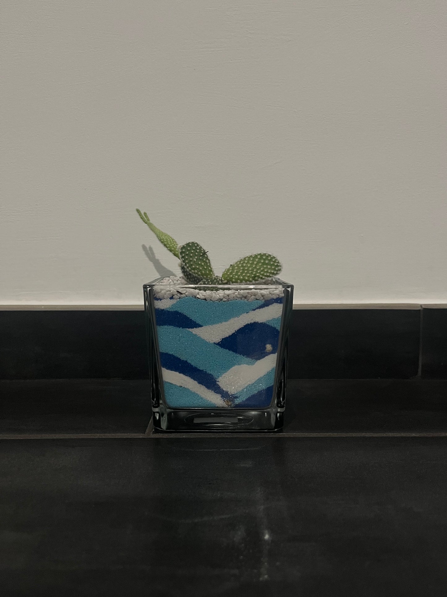 Cactus in vaso di vetro con sabbia colorata (azzurro-celeste-bianco)