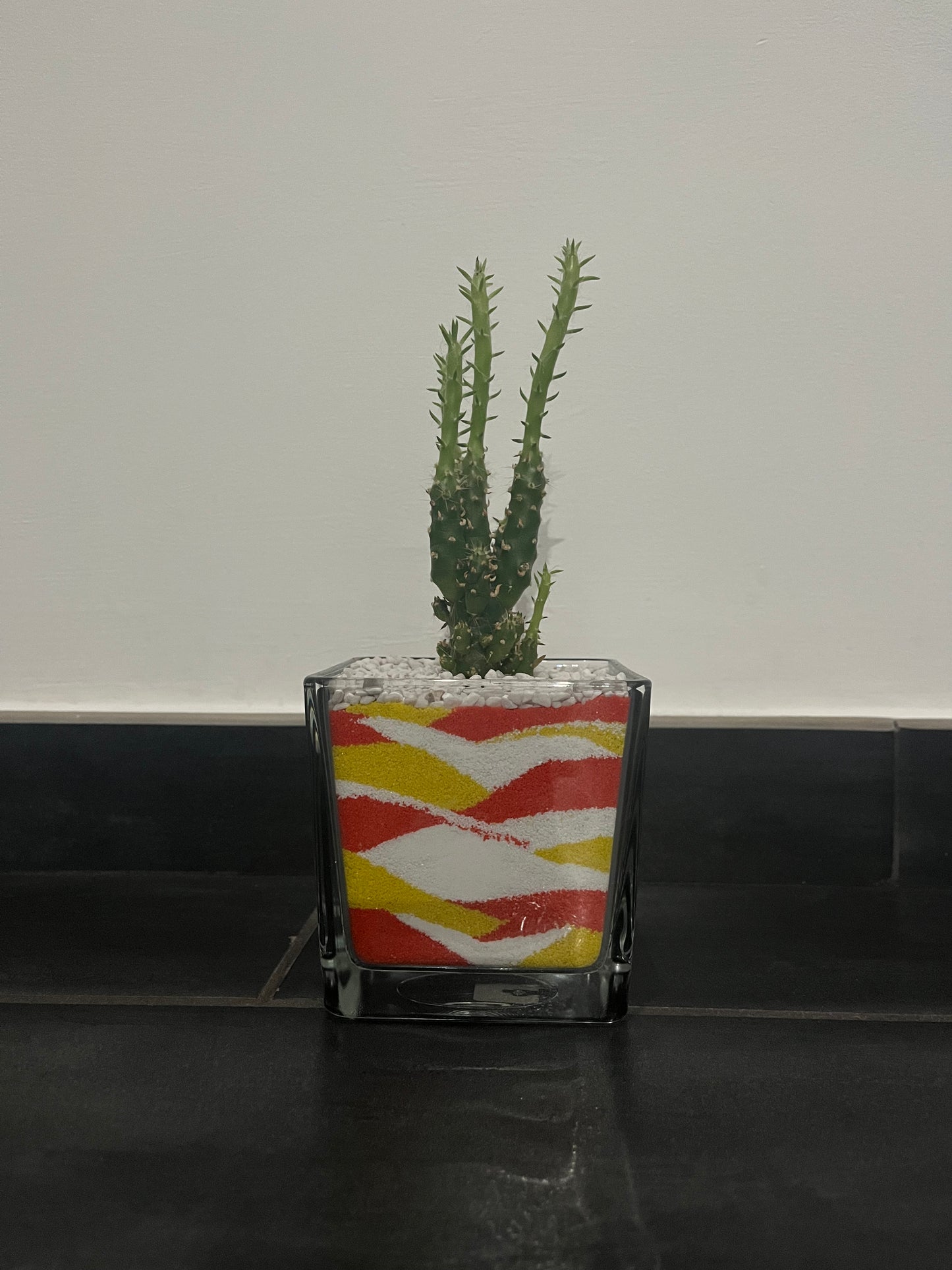 Cactus in vaso di vetro con sabbia colorata (giallo-arancione-bianco)