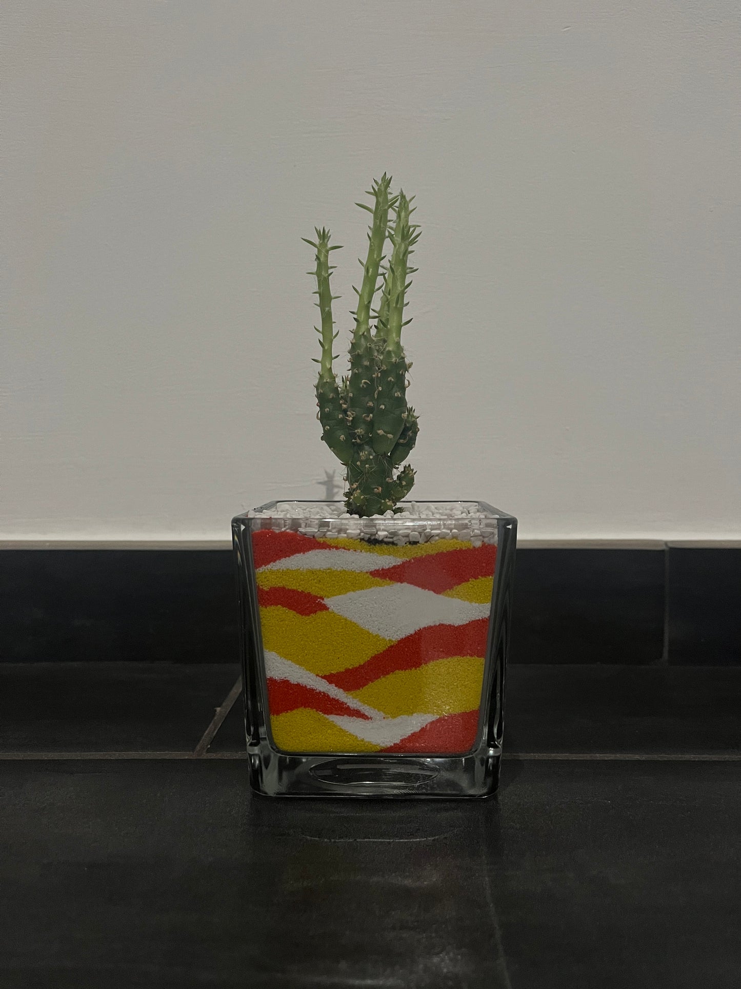 Cactus in vaso di vetro con sabbia colorata (giallo-arancione-bianco)