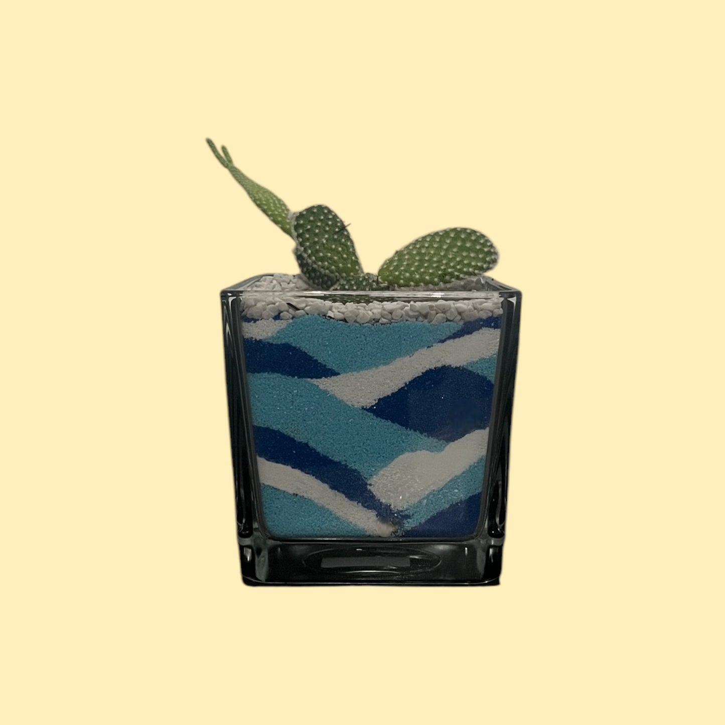 Cactus in vaso di vetro con sabbia colorata (azzurro-celeste-bianco)