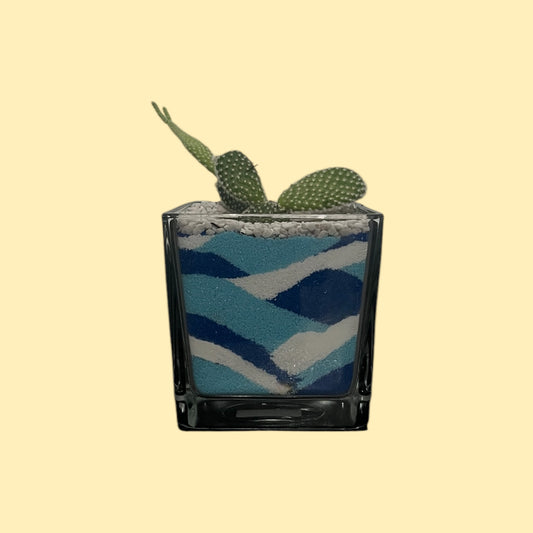 Cactus in vaso di vetro con sabbia colorata (azzurro-celeste-bianco)